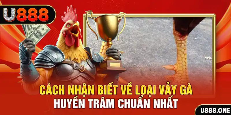 i9bet58 đăng nhập nổ hũ số 1
