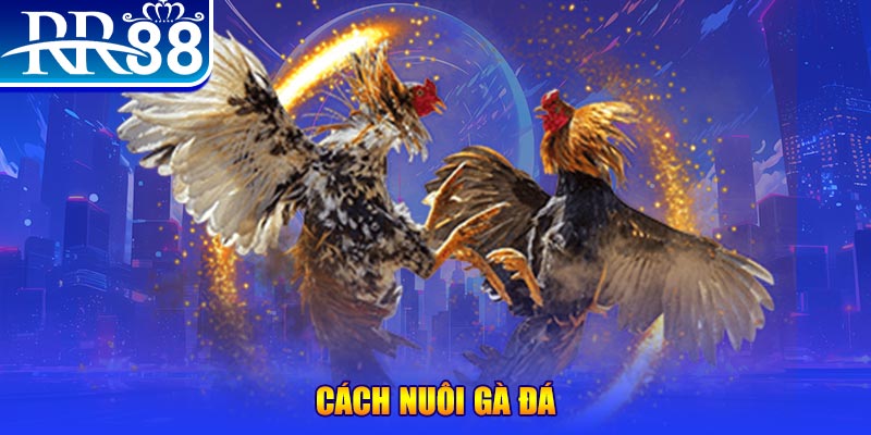 i9bet58 đăng nhập phỏm đổi thưởng