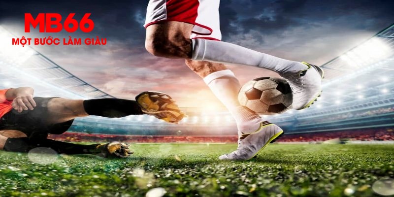 i9bet58 trực tiếp đá gà thomo