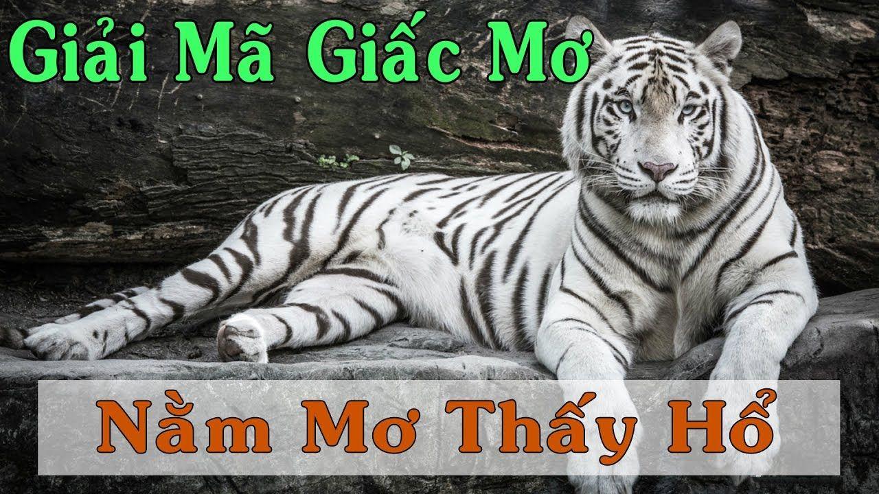 i9bet58 nổ hũ là game gì