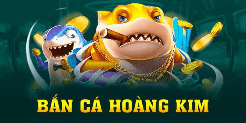 i9bet58 gà chọi cậu thanh