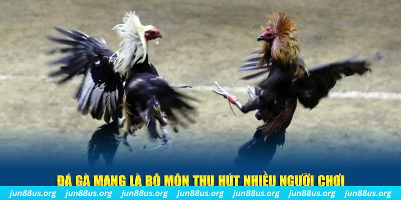 i9bet58 nổ hủ nghĩa là gì