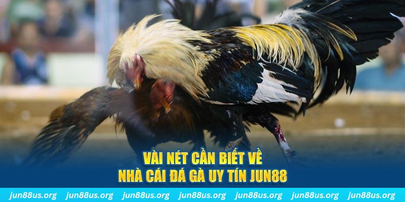 i9bet58 đăng nhập phỏm khuyến mãi