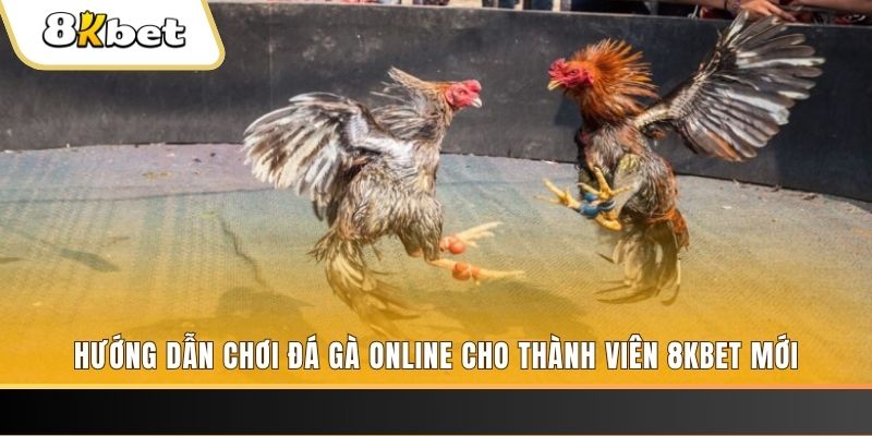i9bet58 JILI Game Bài 3d