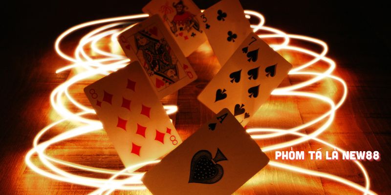 i9bet58 đá gà cựa dao