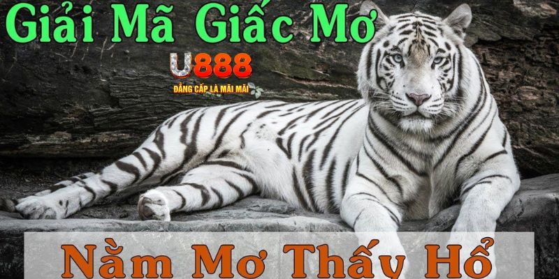 i9bet58 xổ số miền bắc xổ số miền bắc