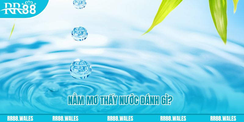 i9bet58 TCG Xổ Số