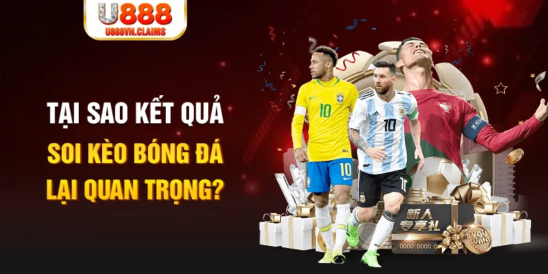 i9bet58 Tôm Cua Cá 2