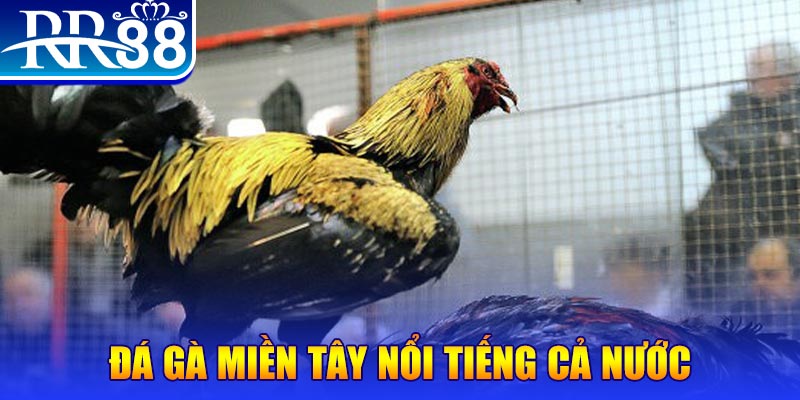 i9bet58 xổ số đại phát