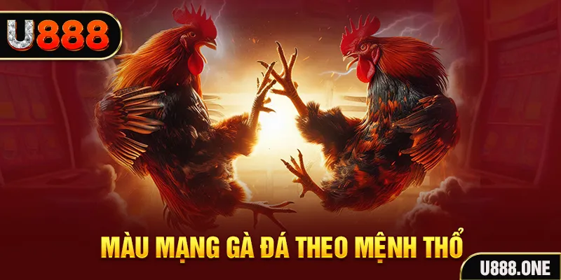i9bet58 đăng nhập sòng bạc hàng đầu