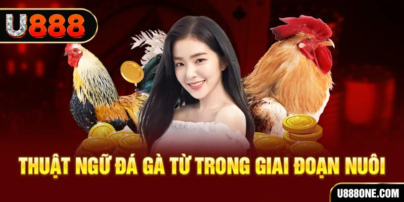 i9bet58 xổ số miền bắc 90 ngày