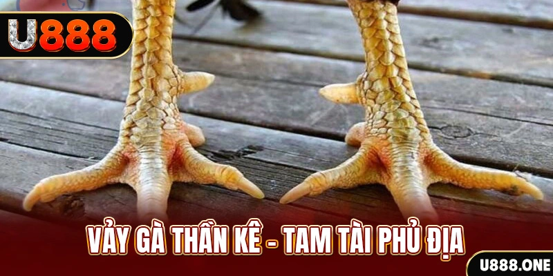 i9bet58 xổ số miền trung thứ hai hàng tuần