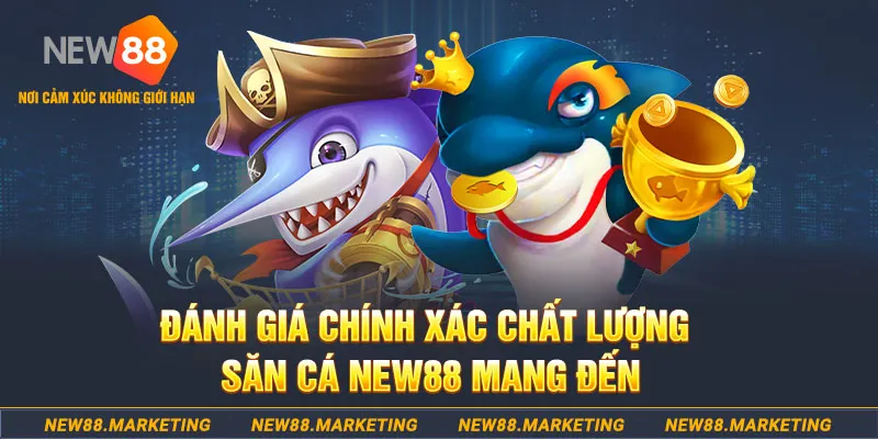 i9bet58 đăng nhập mậu binh mới nhất