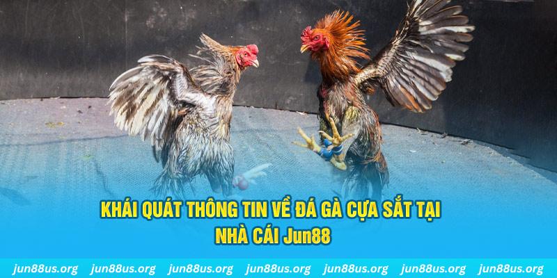 i9bet58 xổ số miền bắc thứ bảy hàng tuần