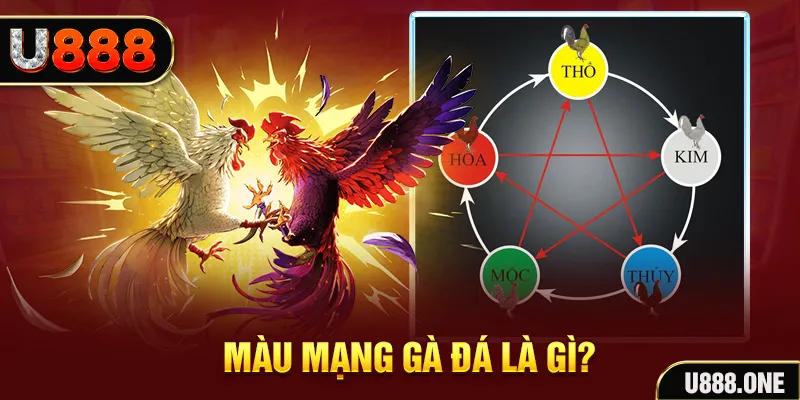 i9bet58 xổ số miền trung thứ tư hàng tuần