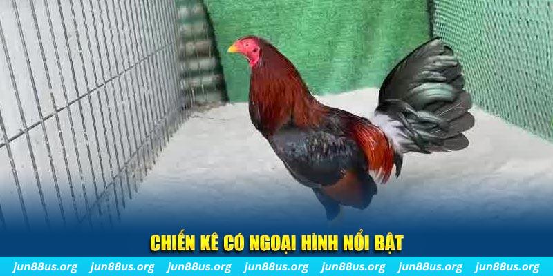 i9bet58 game bắn cá