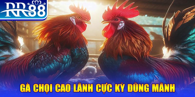 i9bet58 HB Điện Tử