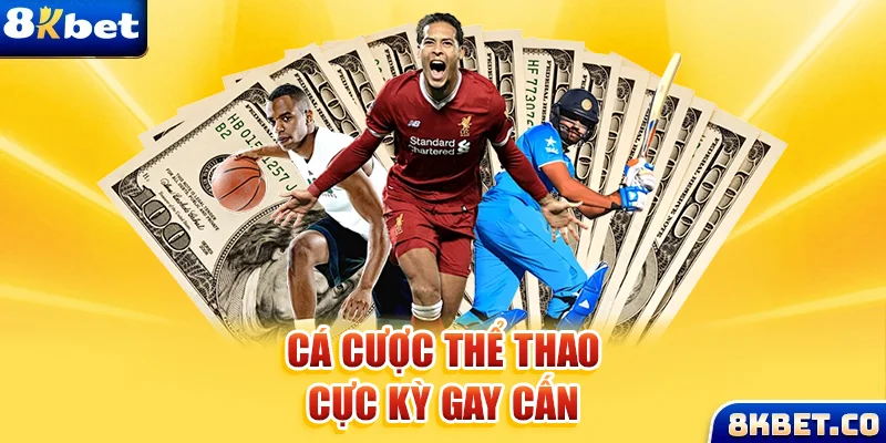 i9bet58 xem đá gà trực tiếp